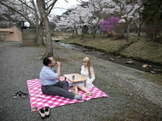 man having picnic with sex robot